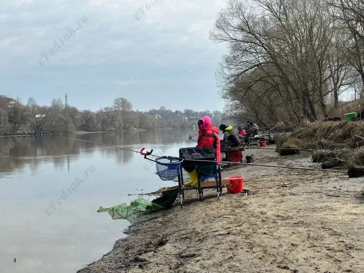 Рыбалка на Москва реке - поймала Ельца