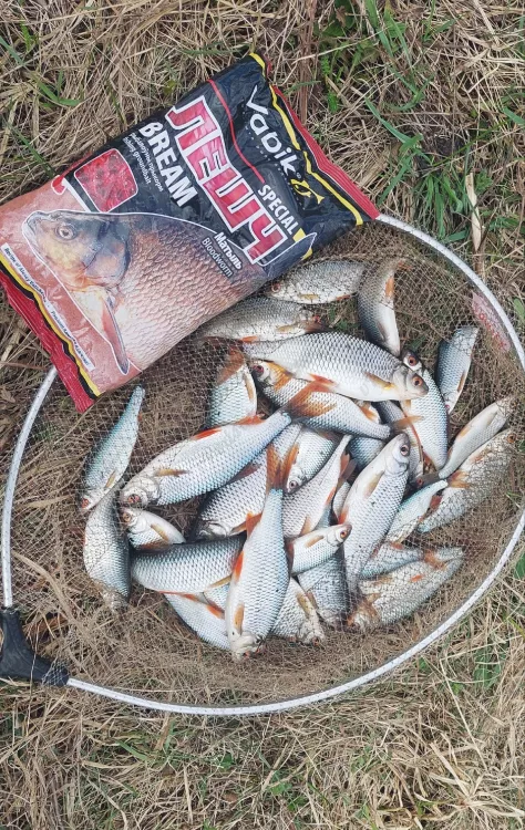 Отчёт о рыбалке Отчёт о рыбалке Рязанская область Рязань Озеро / Пруд Без названия Рыбалка весной Ловля на фидер